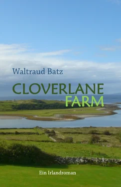Waltraud Batz Cloverlane Farm обложка книги