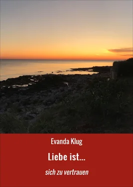 Evanda Klug Liebe ist... обложка книги