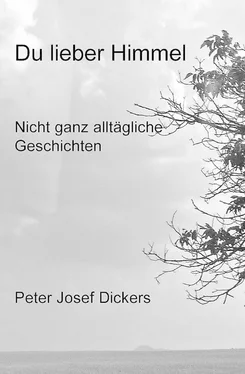 Peter Josef Dickers Du lieber Himmel обложка книги