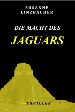 Susanne Linzbacher Die Macht des Jaguars обложка книги