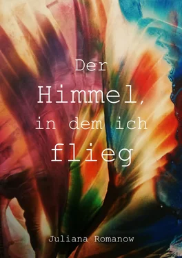 Juliana Romanow Der Himmel, in dem ich flieg обложка книги