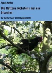 Agnes Kather - Die flattern höchstens mal ein bisschen
