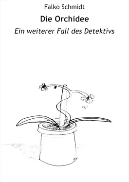 Falko Schmidt Die Orchidee обложка книги