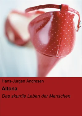 Hans-Jürgen Andresen Altona обложка книги