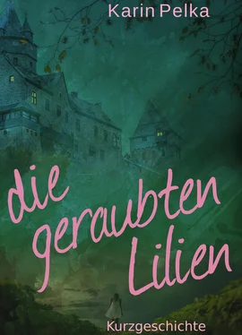 Karin Pelka Die geraubten Lilien обложка книги