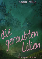 Karin Pelka - Die geraubten Lilien