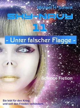 Michael Schenk Sky-Navy 11 - Unter falscher Flagge обложка книги