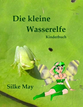 Silke May Die kleine Wasserelfe обложка книги