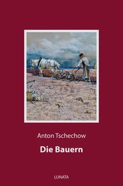 Anton Tschechow Die Bauern обложка книги