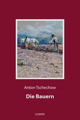 Anton Tschechow - Die Bauern