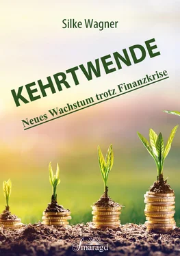 Silke Wagner Kehrtwende обложка книги