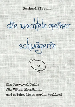 Raphael Nibbana Die Wachteln meiner Schwägerin обложка книги