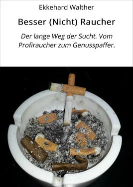 Ekkehard Walther Besser (Nicht) Raucher обложка книги