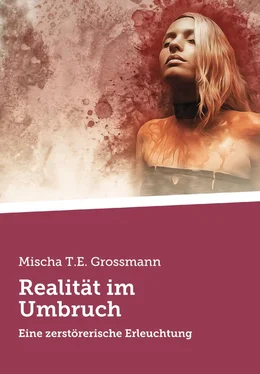 Mischa Tassilo Erik Grossmann Realität im Umbruch обложка книги