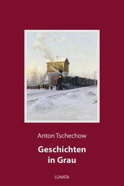 Anton Tschechow Geschichten in Grau обложка книги