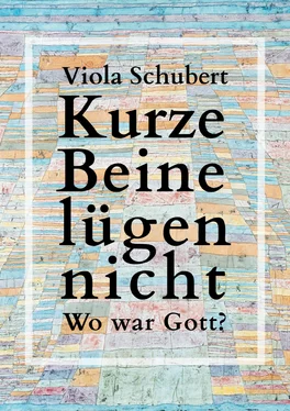 Viola Schubert Kurze Beine lügen nicht обложка книги
