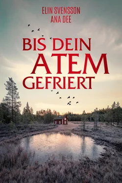 Ana Dee Bis dein Atem gefriert обложка книги