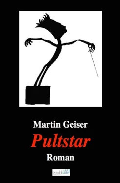 Martin Geiser Pultstar обложка книги
