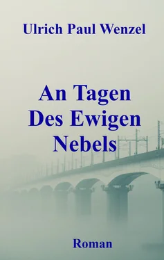 Ulrich Paul Wenzel An Tagen Des Ewigen Nebels обложка книги