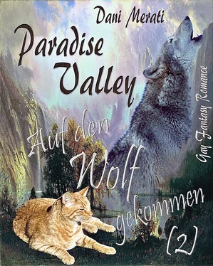 Dani Merati Paradise Valley - Auf den Wolf gekommen (2) обложка книги