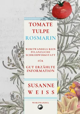 Susanne Weiss Tomate, Tulpe, Rosmarin. Schreibwerkstatt für gut erzählte Information обложка книги