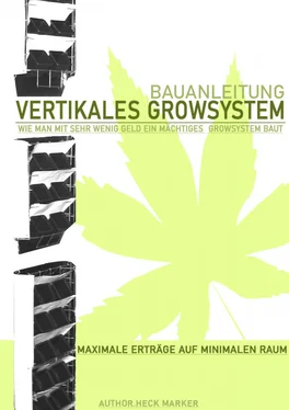 steffen janeck Bauplan- Vertikales Growsystem обложка книги