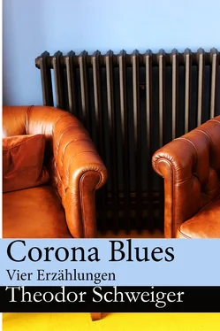 Theodor Schweiger Corona Blues обложка книги