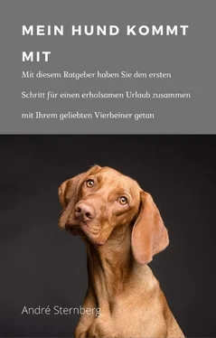 André Sternberg Mein Hund kommt mit обложка книги