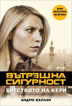 Андрю Каплан Вътрешна сигурност обложка книги