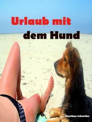 Dorothea Schneider - Urlaub mit dem Hund