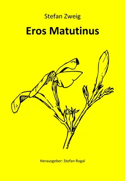 Stefan Zweig Eros Matutinus обложка книги