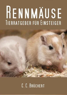 C. C. Brüchert Tierratgeber für Einsteiger - Rennmäuse обложка книги