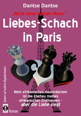 Dantse Dantse Liebes-Schach in Paris обложка книги