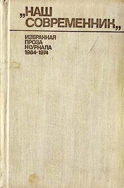 Владимир Измайлов Малина рясная обложка книги