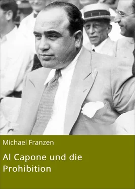 Michael Franzen Al Capone und die Prohibition обложка книги