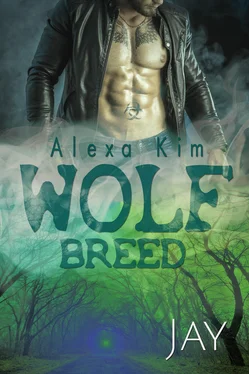 Alexa Kim Wolf Breed - Jay (Band 5) обложка книги