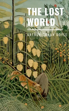 Arthur Conan Doyle The Lost Word (English Edition) обложка книги