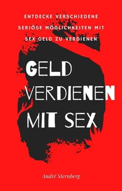 André Sternberg Geld verdienen mit Sex обложка книги