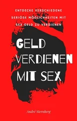André Sternberg - Geld verdienen mit Sex