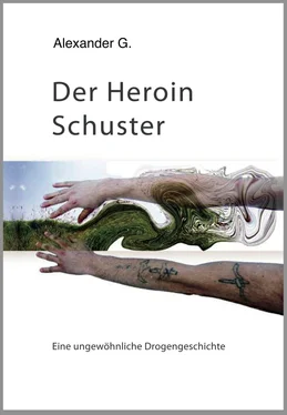 Alexander Golfidis Der Heroin Schuster обложка книги