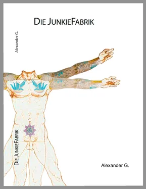 Alexander Golfidis Die JunkieFabrik обложка книги