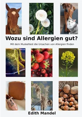 Edith Mandel Wozu sind Allergien gut? обложка книги