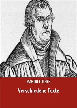 Martin Luther Verschiedene Texte обложка книги