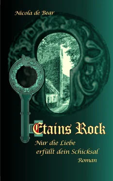 Nicola de Bear Etains Rock обложка книги