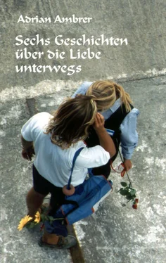 Adrian Ambrer Sechs Geschichten über die Liebe unterwegs обложка книги