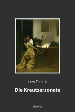 Lew Tolstoi Die Kreutzersonate обложка книги