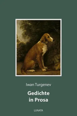 Iwan Turgenev Gedichte in Prosa обложка книги