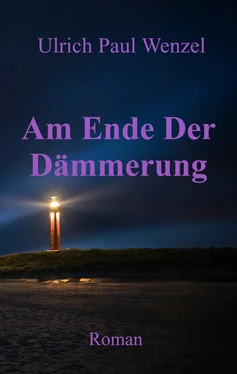 Ulrich Paul Wenzel Am Ende Der Dämmerung обложка книги