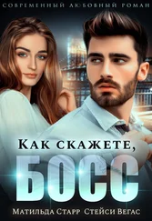 Стейси Вегас - Как скажете, босс