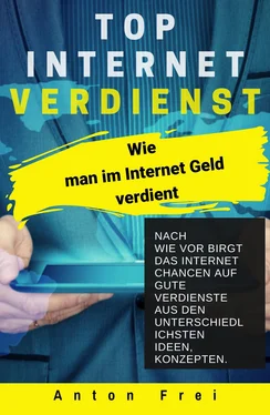 Anton Frei Top Internet Verdienst обложка книги